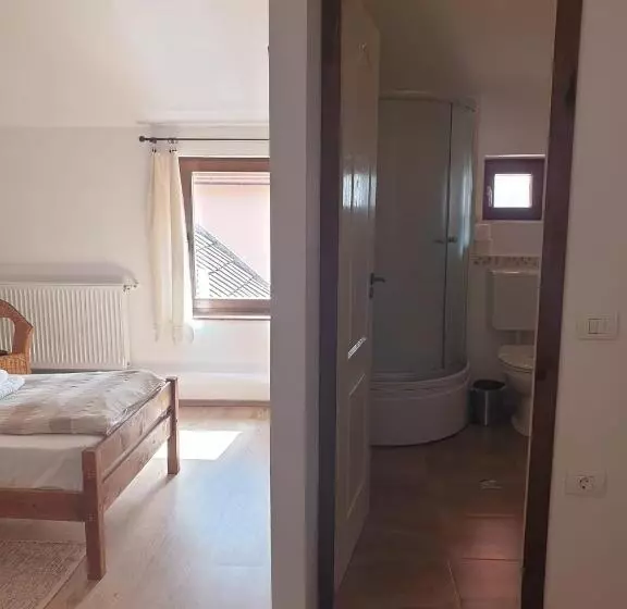 Majatalo Studiorasnov