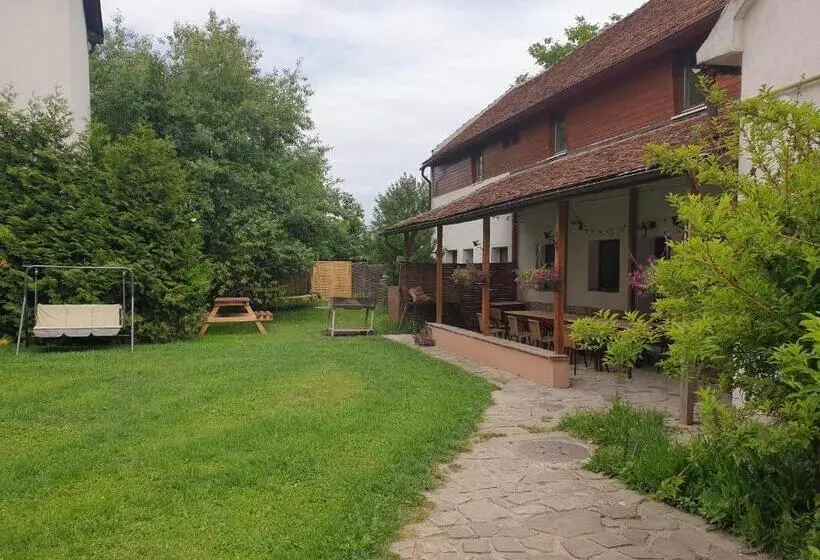 Majatalo Studiorasnov