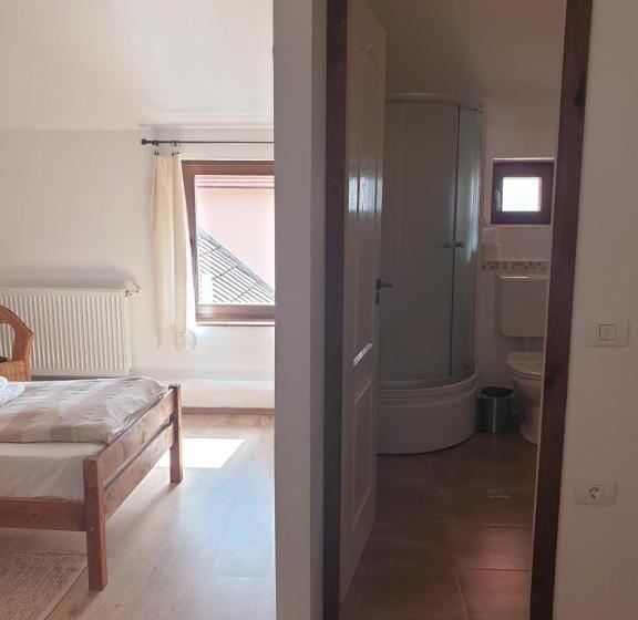 פנסיון Studiorasnov