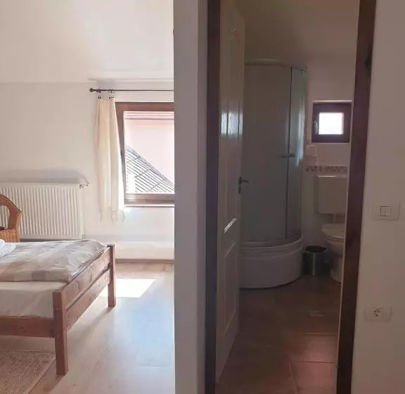 Majatalo Studiorasnov