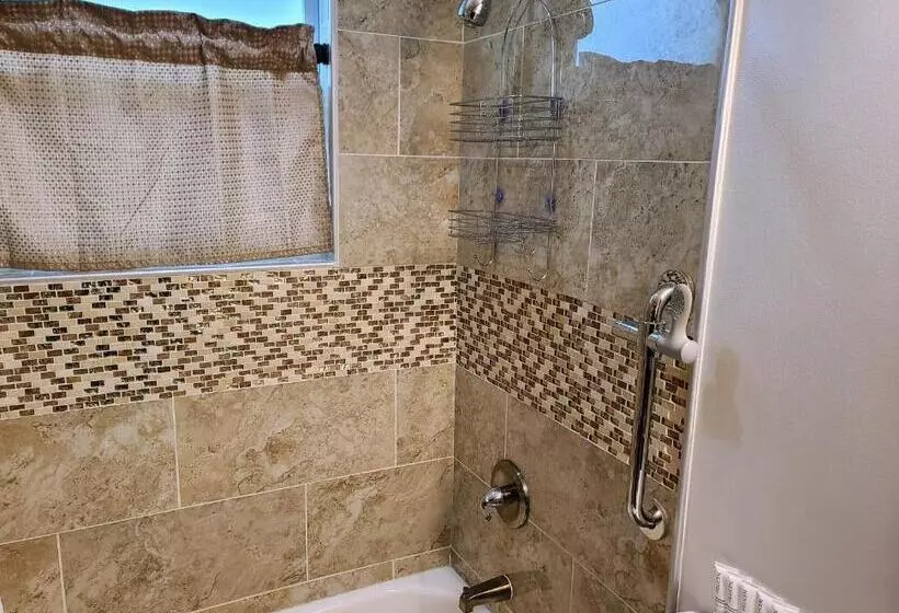 پانسیون Stylish Suite Tampa Minutes To Hard Rock Casino