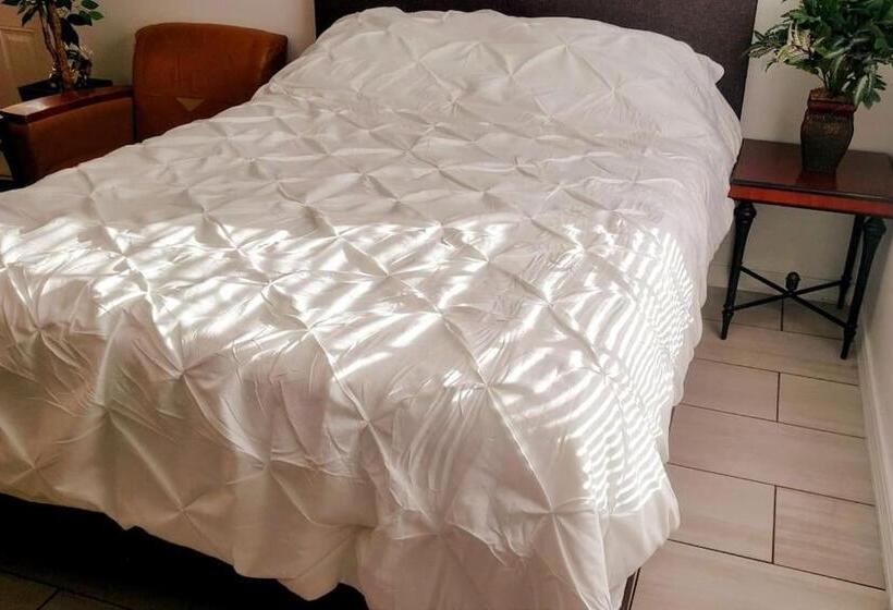 Pensjonat Stylish Suite Tampa Minutes To Hard Rock Casino