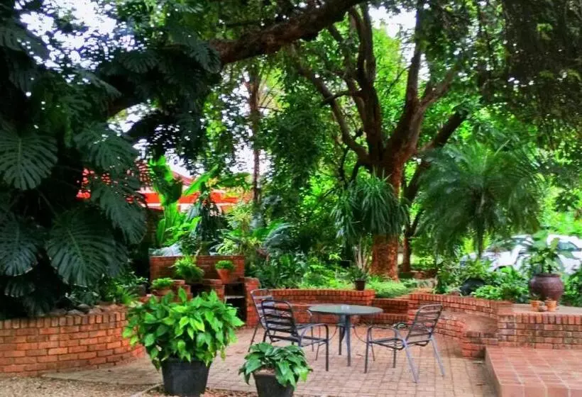 ペンション Tree Aloe Guest House