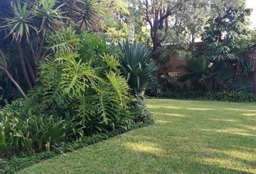 Pension (Hôtel basse catégorie) Tree Aloe Guest House