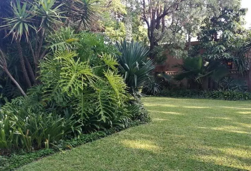 ペンション Tree Aloe Guest House