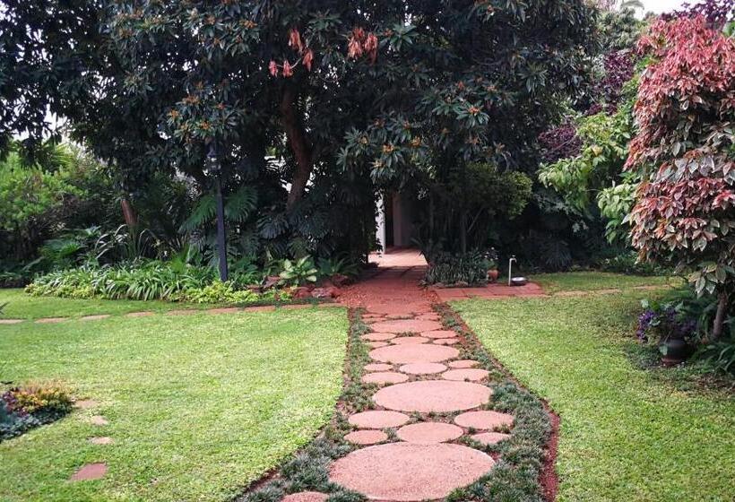 Pension (Hôtel basse catégorie) Tree Aloe Guest House