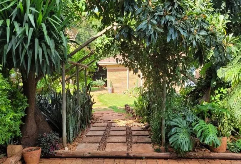 ペンション Tree Aloe Guest House