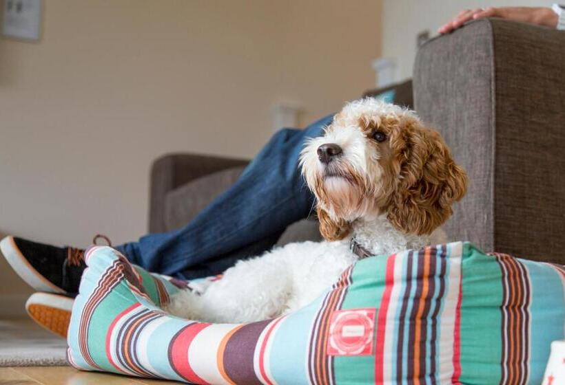 Swallow Lodge With Hot Tub, Dogs Welcome Sleeps 8, Great Resort Facilities