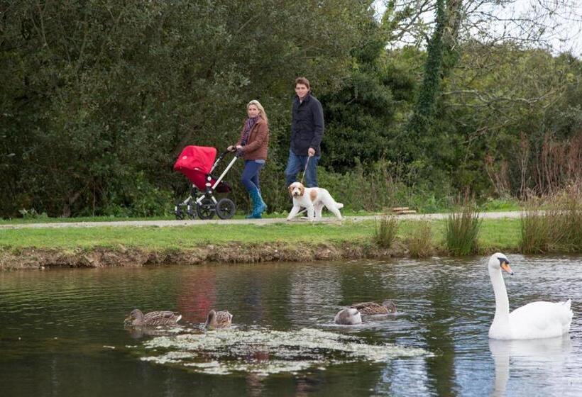 Swallow Lodge With Hot Tub, Dogs Welcome Sleeps 8, Great Resort Facilities