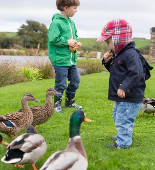 Swallow Lodge With Hot Tub, Dogs Welcome Sleeps 8, Great Resort Facilities