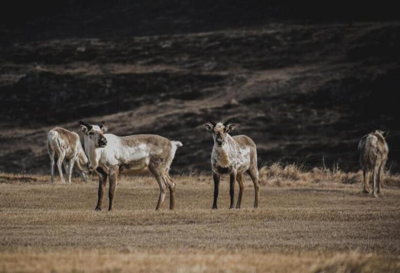 هاستل Northeast Guesthouse