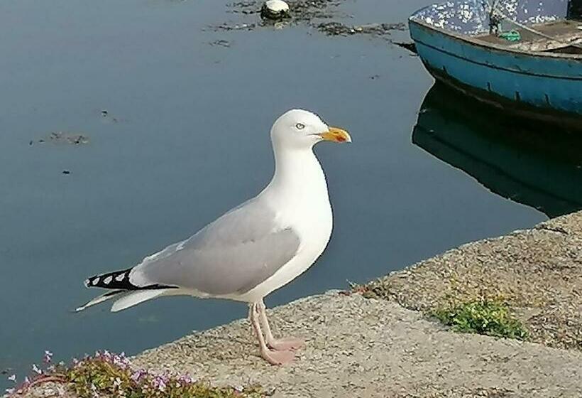 Bed and Breakfast Chambre D Hôtes Kan An Aod