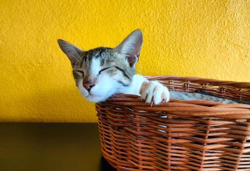 Hotell King S Landing, An Indigenous Experience