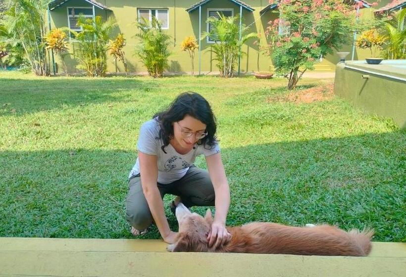 Hotell King S Landing, An Indigenous Experience