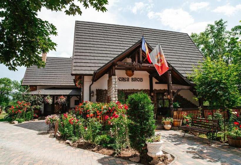 Пансион Casa Baciu