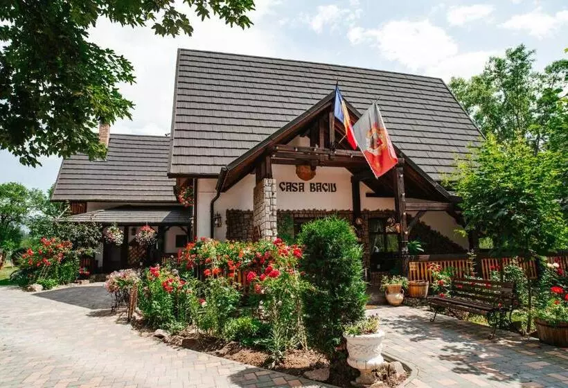 ペンション Casa Baciu