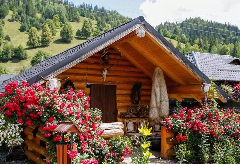 ペンション Casa Baciu