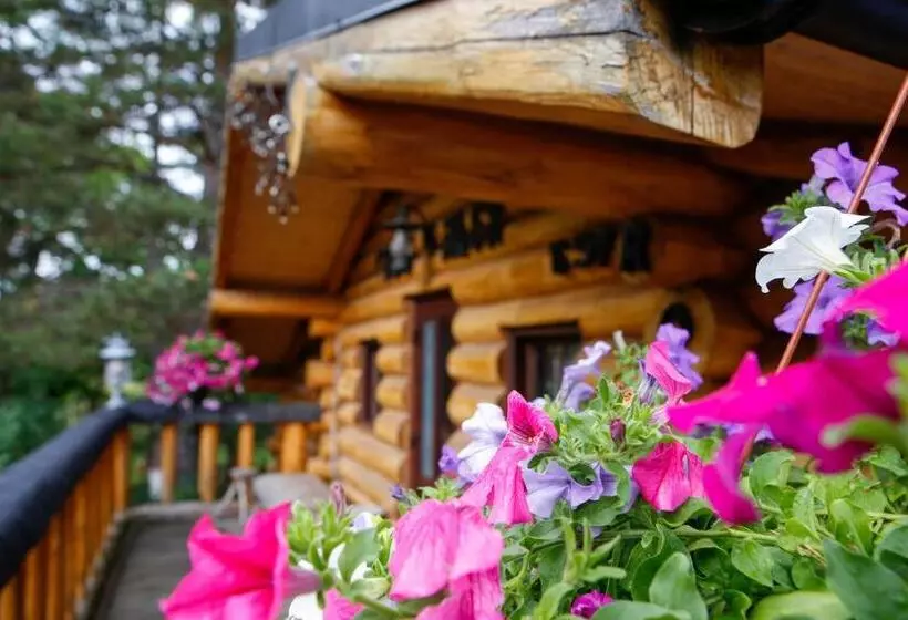 ペンション Casa Baciu