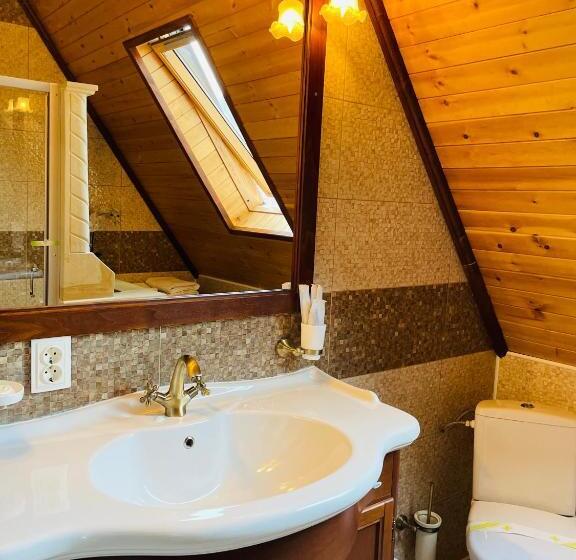 Пансион Casa Baciu