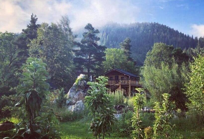 Пансион Casa Baciu