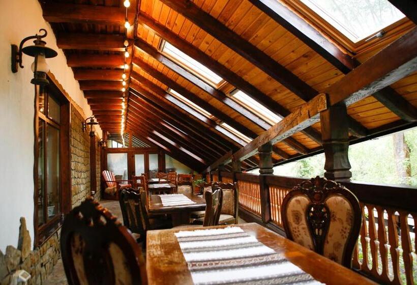 Пансион Casa Baciu