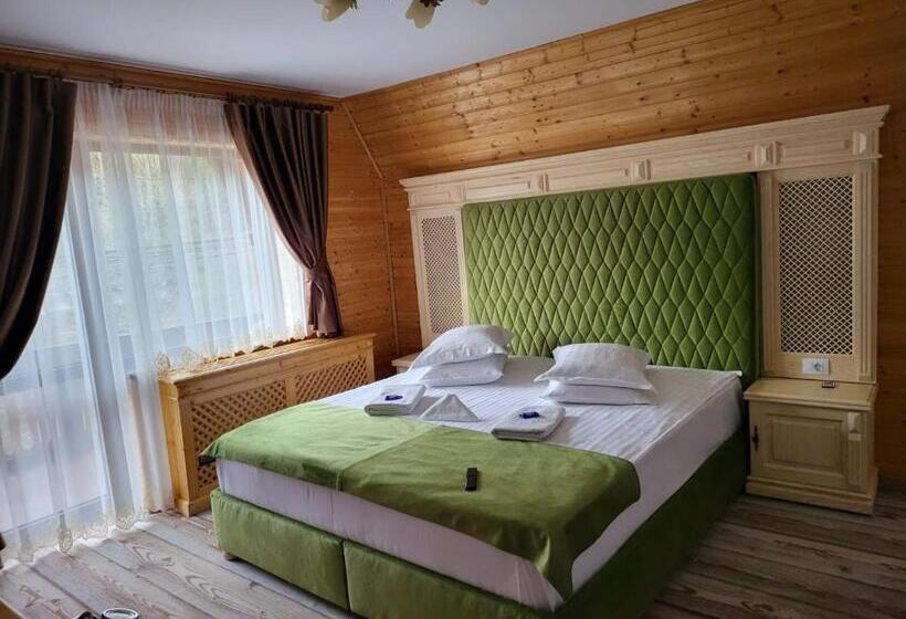 Пансион Casa Baciu