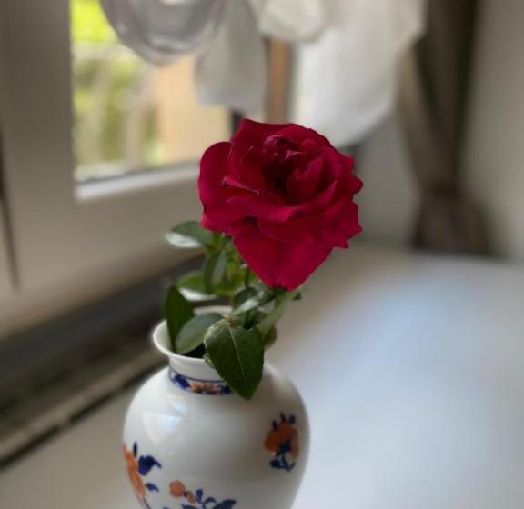 Pension (Hôtel basse catégorie) Casa Luba