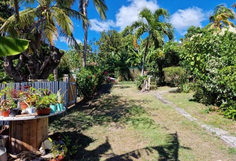 پانسیون Le Biabiany