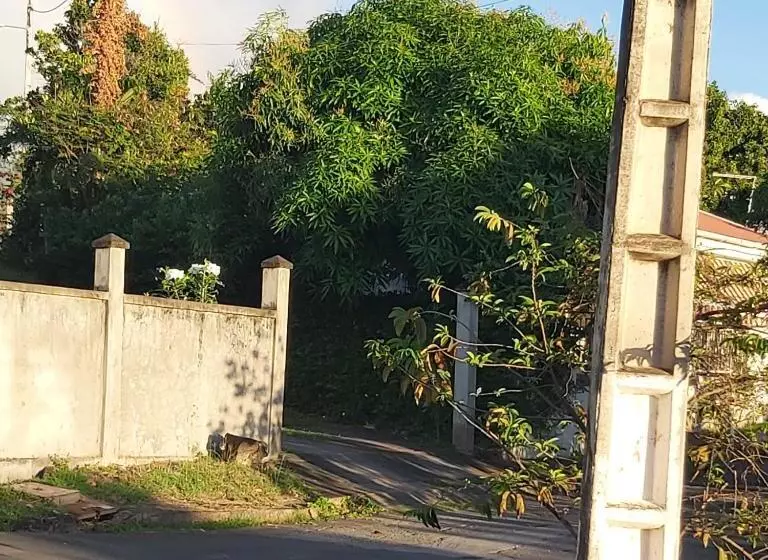 پانسیون Le Biabiany