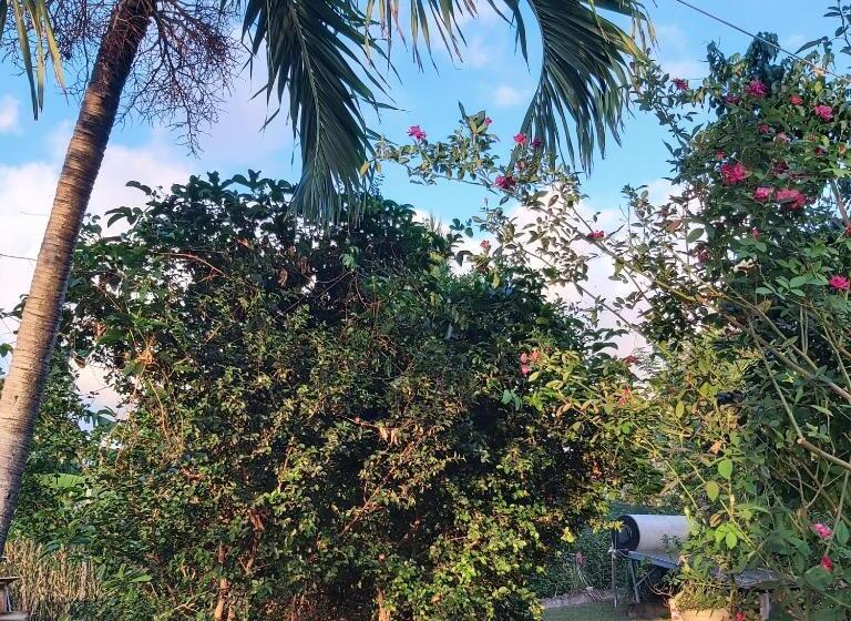 پانسیون Le Biabiany