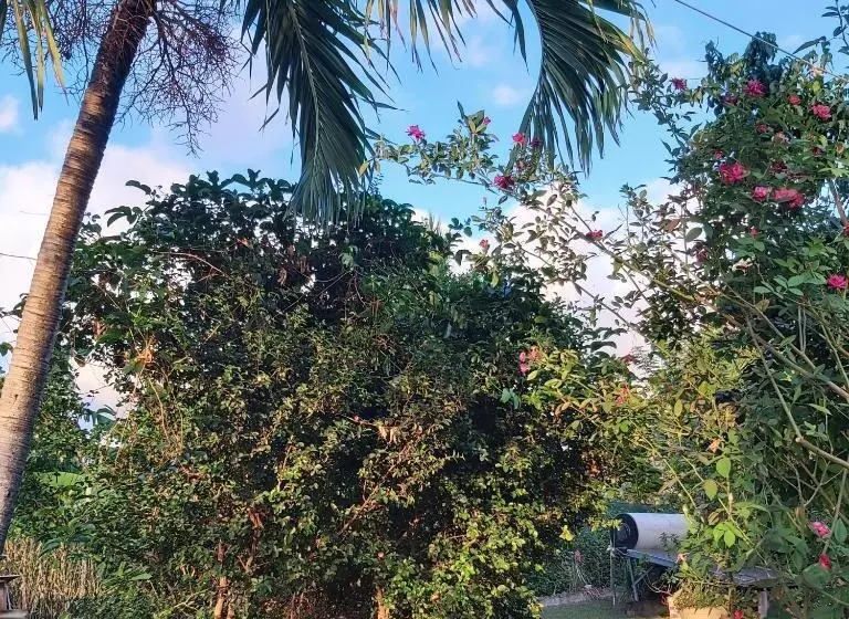 پانسیون Le Biabiany