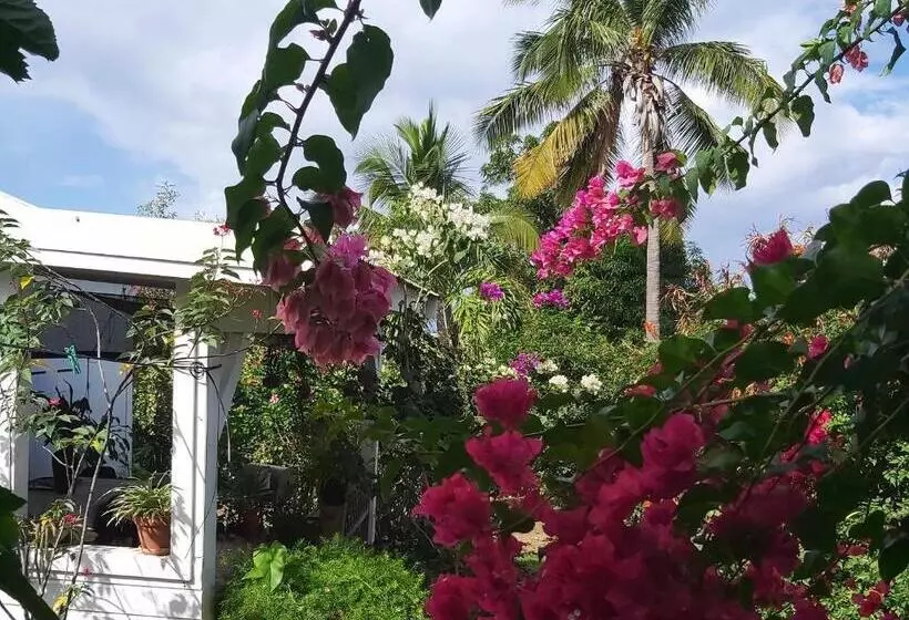 پانسیون Le Biabiany