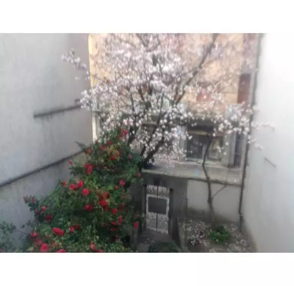 تختخواب و صبحانه Magnolia