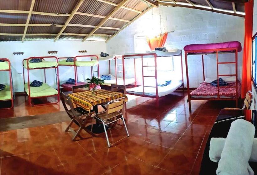 Szálloda Hospedaje Pance Arí Munani Reserva Natural