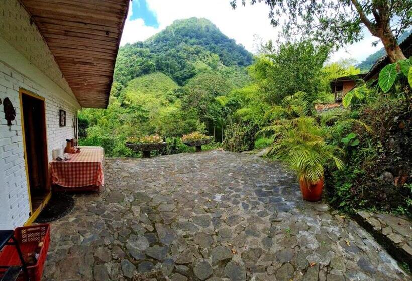 Szálloda Hospedaje Pance Arí Munani Reserva Natural