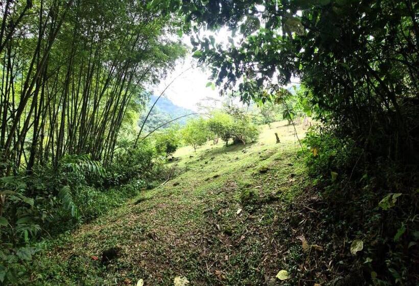 Szálloda Hospedaje Pance Arí Munani Reserva Natural