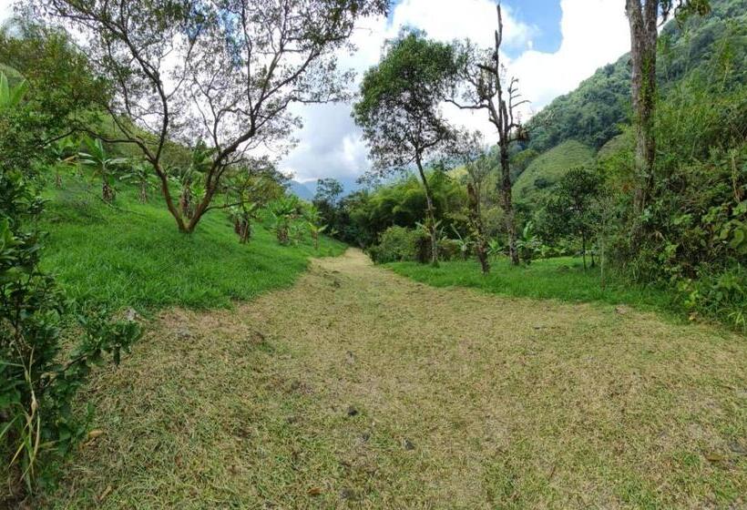 Szálloda Hospedaje Pance Arí Munani Reserva Natural