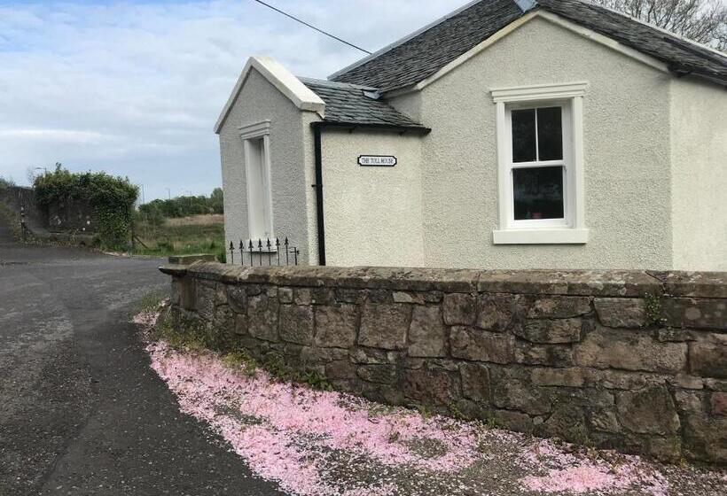 پانسیون The Tollhouse