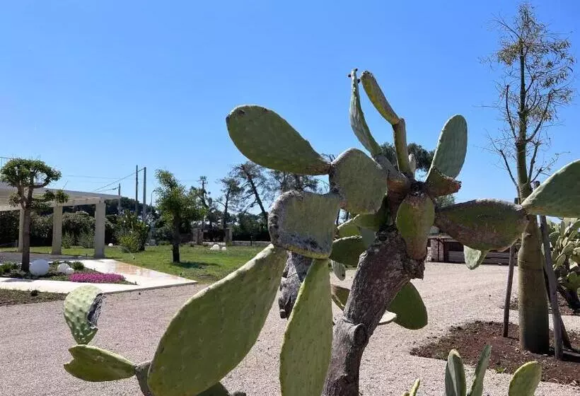 Verde Blu Vacanze B&b