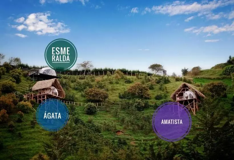 ユースホステル Finca Y Glamping Grinta