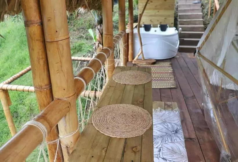 ユースホステル Finca Y Glamping Grinta