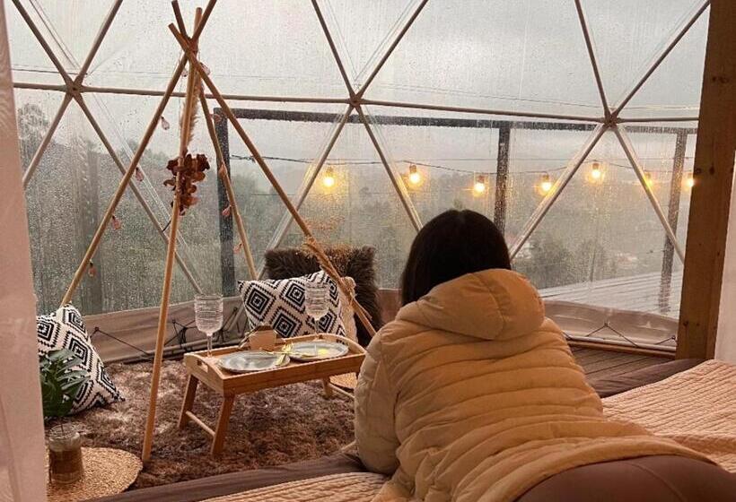 Herberge Finca Y Glamping Grinta