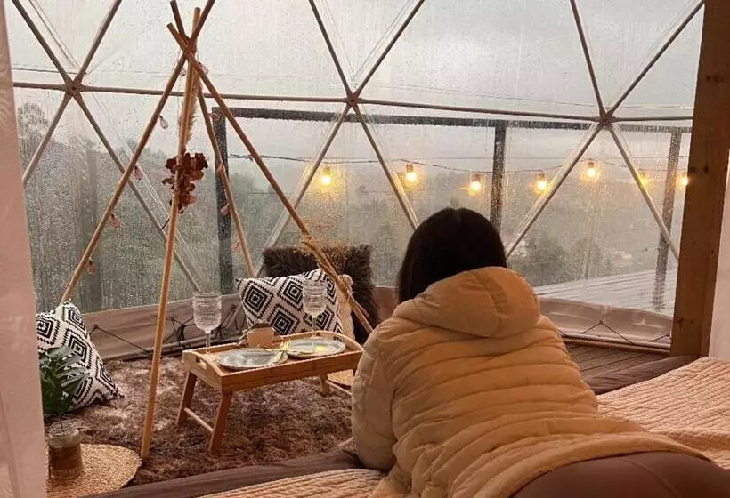 ユースホステル Finca Y Glamping Grinta