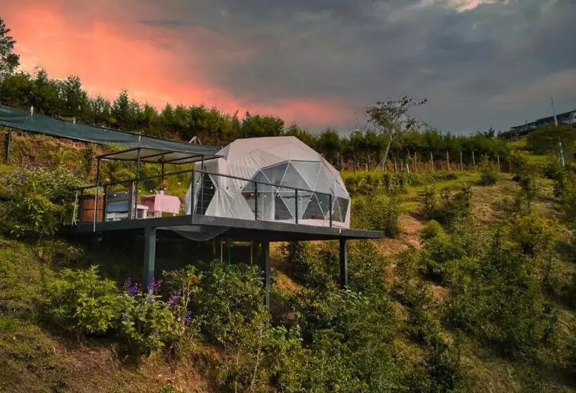 ユースホステル Finca Y Glamping Grinta
