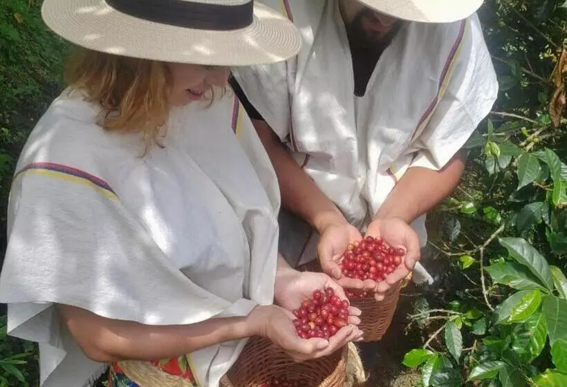 ユースホステル Finca Y Glamping Grinta