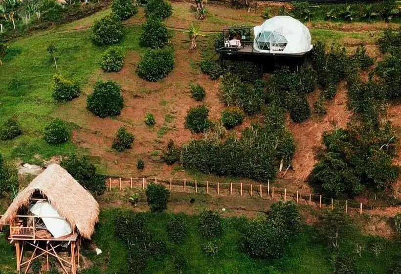 ユースホステル Finca Y Glamping Grinta