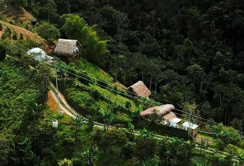 ユースホステル Finca Y Glamping Grinta