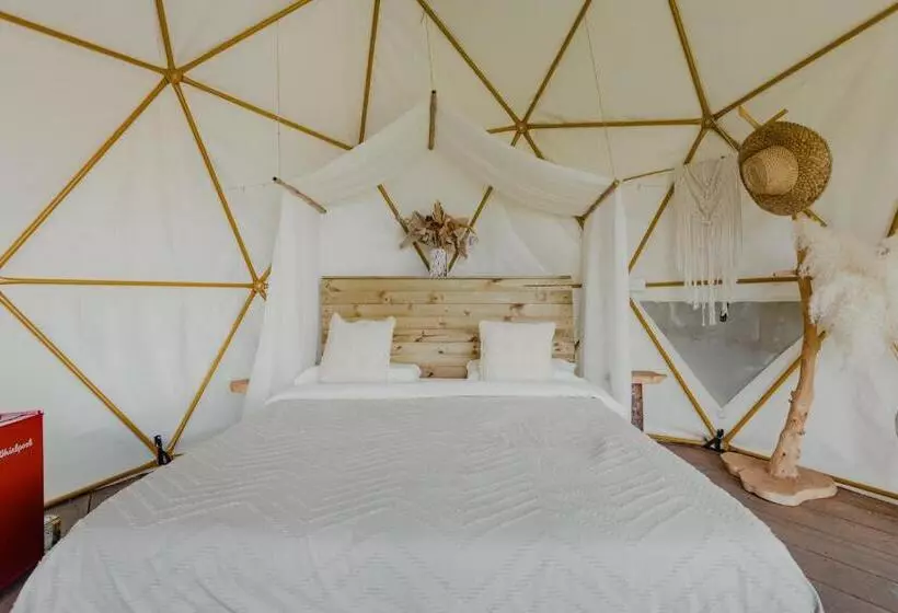 ユースホステル Finca Y Glamping Grinta
