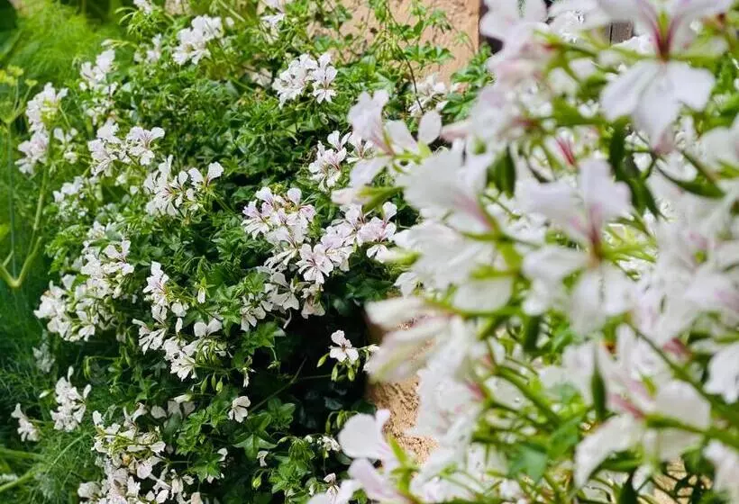 Aamiaismajoitus (B&B) Abeille