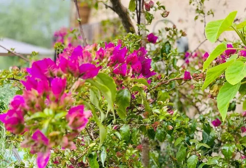 Aamiaismajoitus (B&B) Abeille